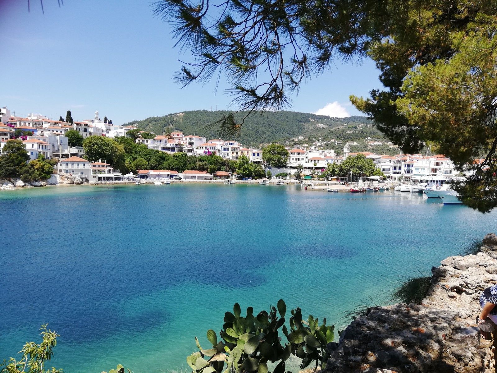 Tour Isole Sporadi Skiathos, Skopleos, Alonissos solo soggiorno